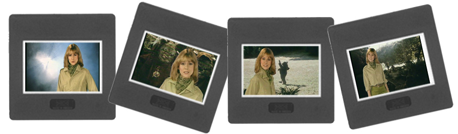 Dorothée  les Ewoks
